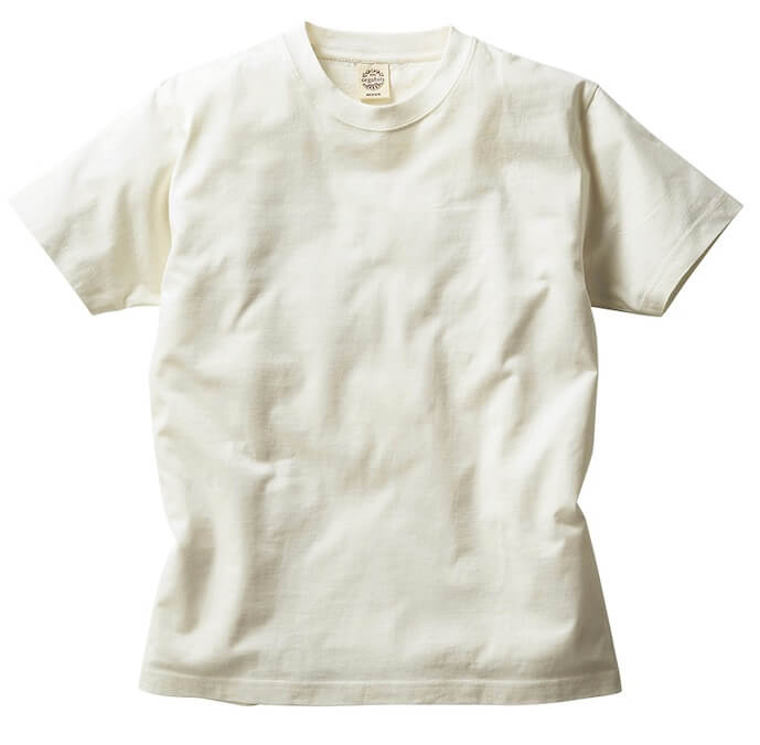 TRUSSのTシャツ