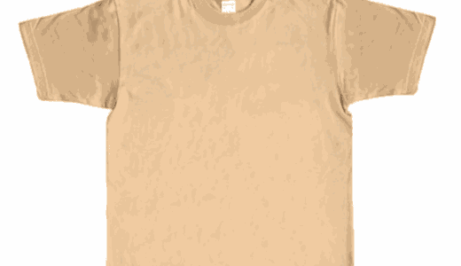 CROSS STITCH CS1111 BIG Tシャツ
