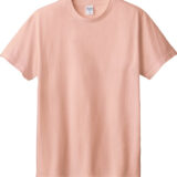 Printstar 095-CVE ヘビーウェイト リミテッドカラー Tシャツ