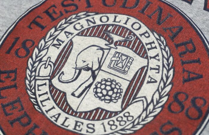 24a9b8a8aa9bb2981e5a128eedb08b