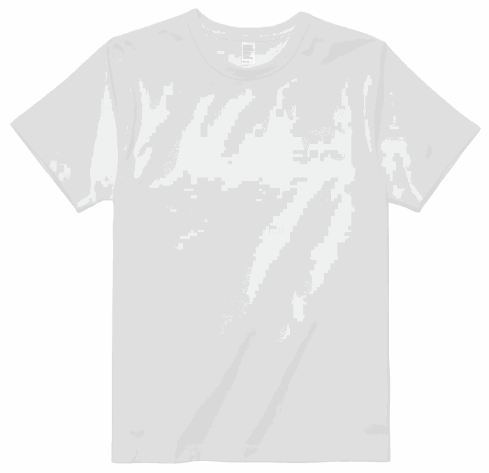 FORCE festival Tシャツ ホワイト D-FACTORY DF1110 8.8オンス プレミアムブラッシュドTシャツ