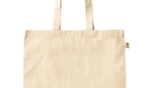 CT4238　キャンバストートバッグL